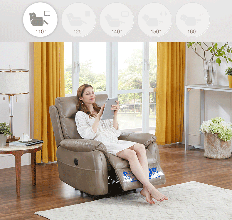 芝华仕(cheers) 5289 科技布单人位沙发 深熏色 *3件