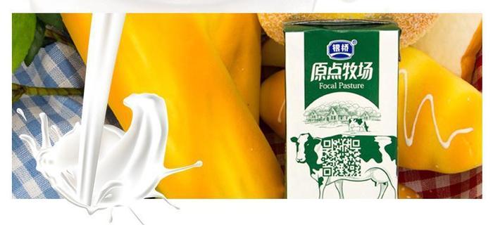 银桥乳业 原点牧场全脂纯牛奶 250ml*10 24.9元包邮(需用券)