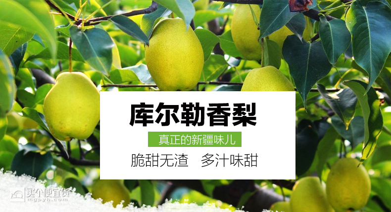 果来丽 新疆库尔勒香梨 9斤装 单果100-120g 约32个 赠若羌灰枣250g$