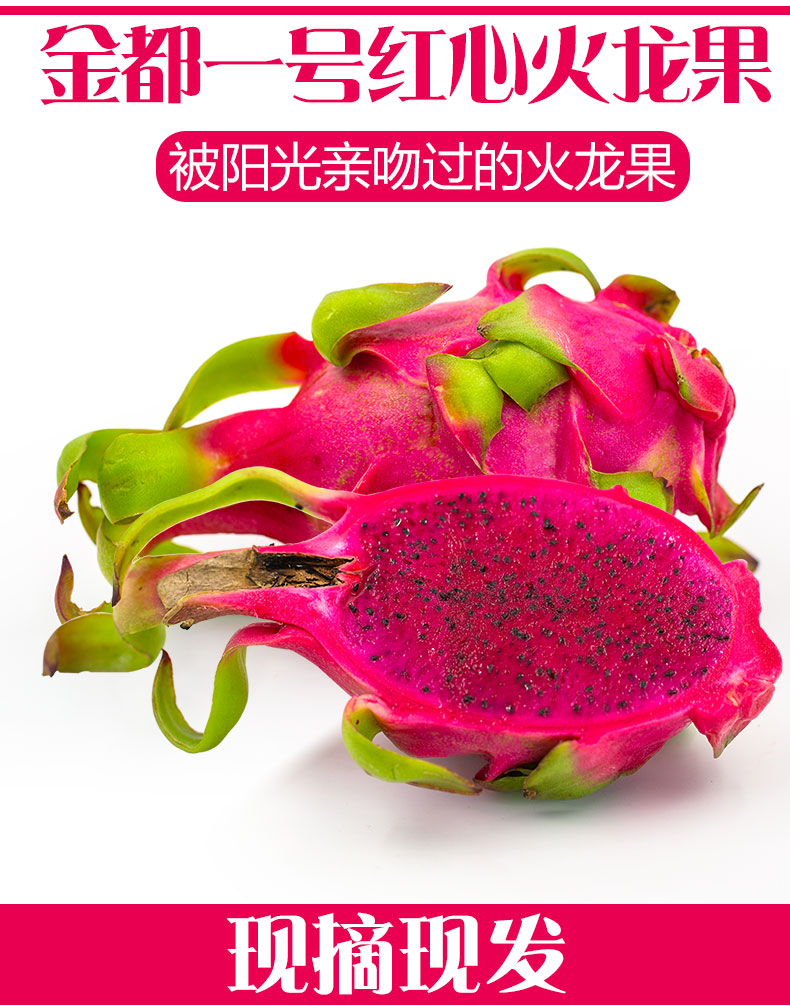 金都一号 红心火龙果 5斤装 约8-10个 28.9元包