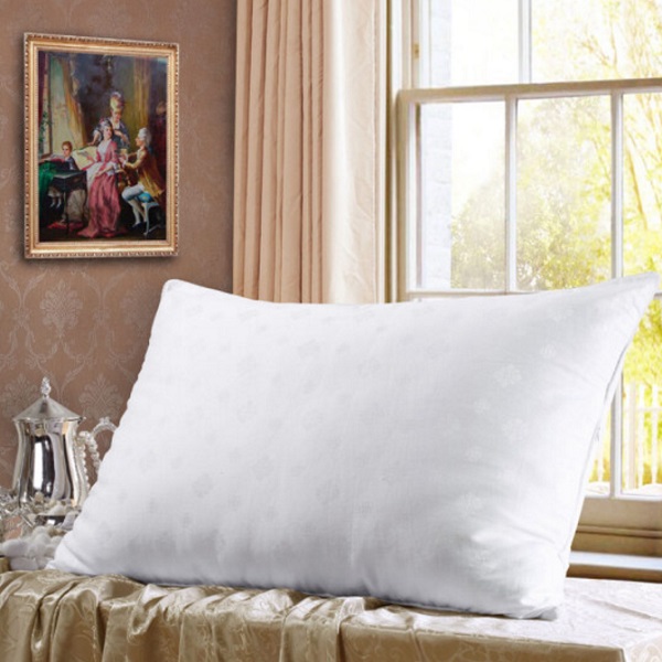 丝滑柔顺！水星家纺 丝丝心动蚕丝枕头 48*74cm 好价114.5元包邮