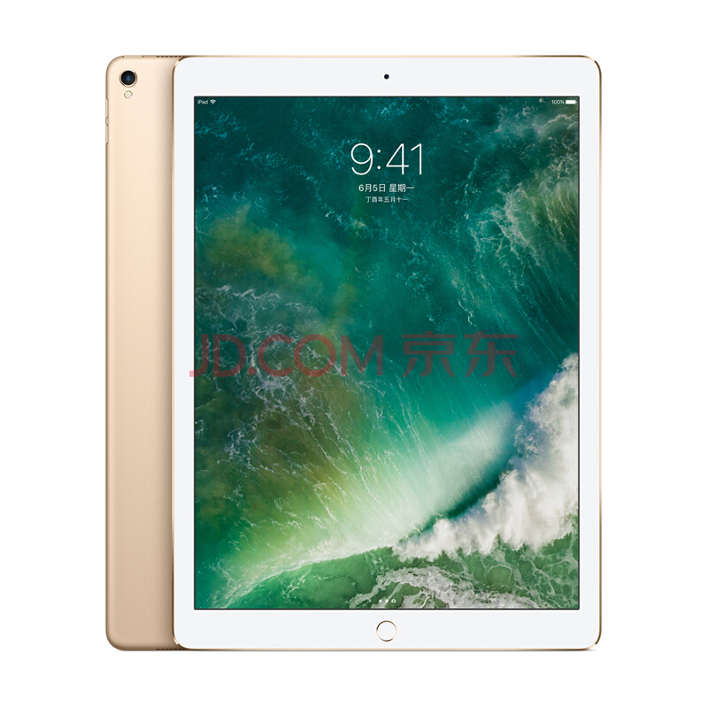 Apple iPad Pro ƽ 12.9Ӣ磨256G WLAN/A10XоƬ/Retina/Multi-T6978