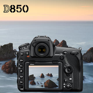 尼康(Nikon) D850 单反相机套装(24-70mm F\/2
