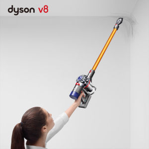 ɭ Dyson V8 Absolute  콢6ͷ ˫ʮ